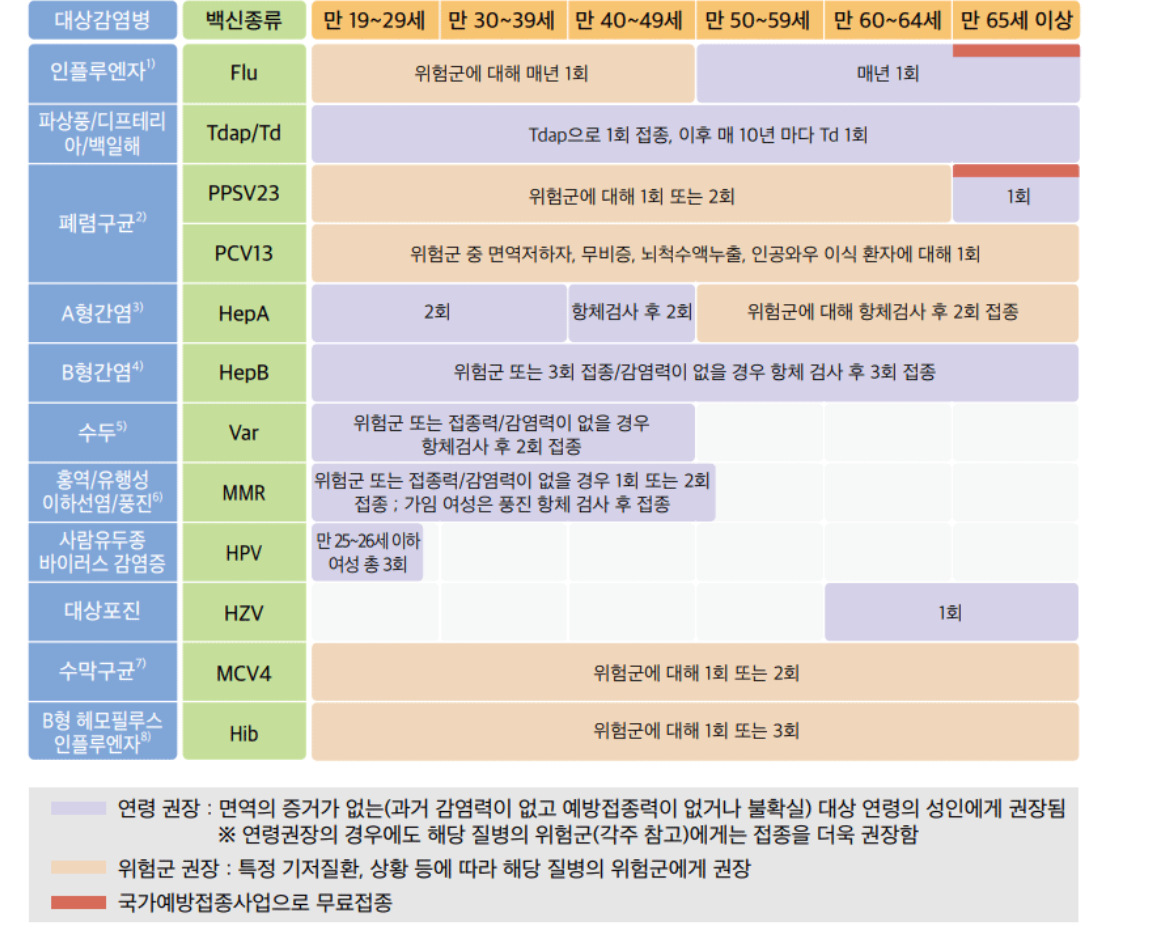 건강한 삶을 위한 준비! 성인 필수 예방접종 가이드