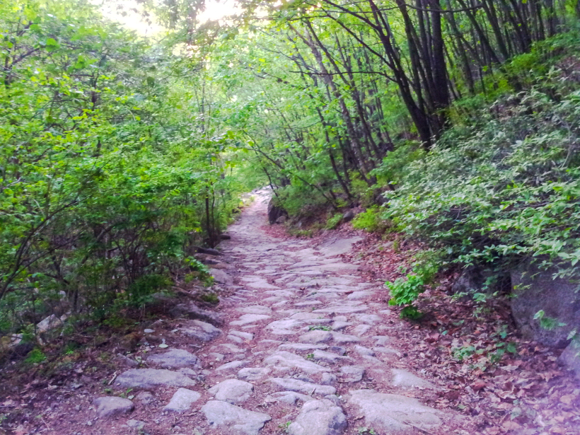 한국 명산 충북 단양 소백산 등산 mountain hiking