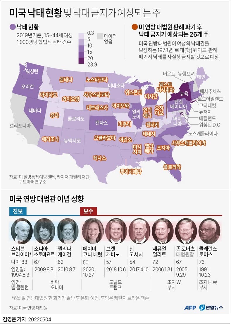  미국 낙태 금지 본격화..낙태 금지 예상 주 The state of abortion in America