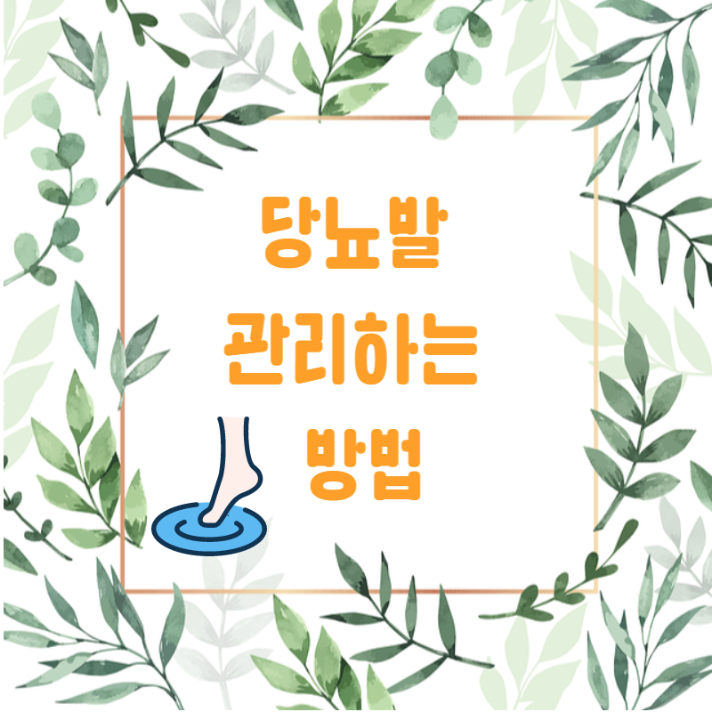 당뇨발