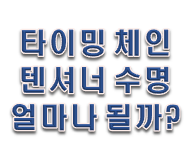  타이밍 체인 수명 텐셔너 교체 안해도 될까?