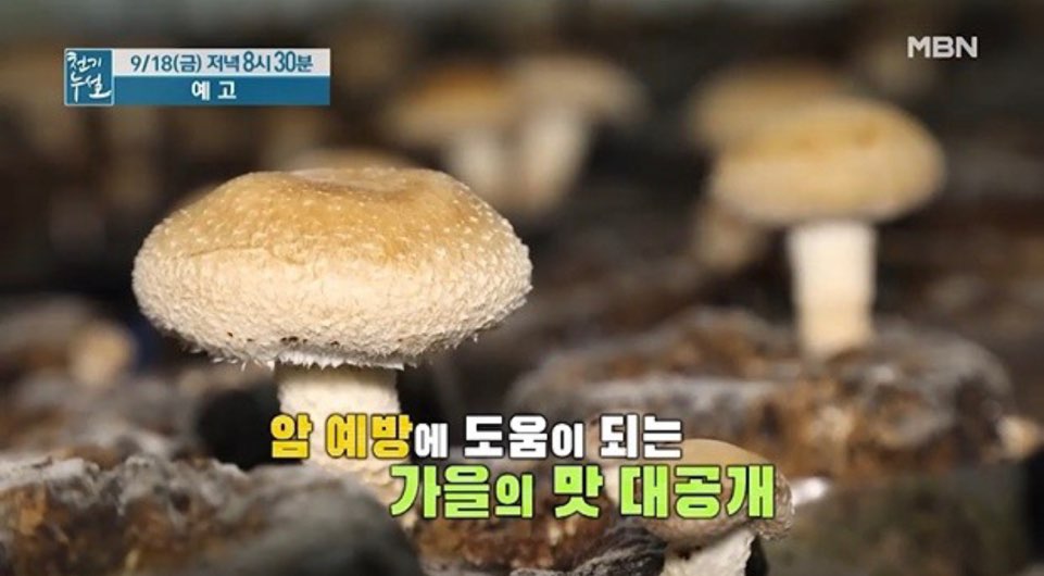  항암식품 표고버섯 효능과 먹는방법 표고버섯숙회 레시피 표고버섯향기름 만들기 표고버섯고기찜 유산슬 표고버섯 고르는법 보관법(천기누설)