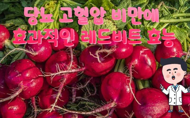  당뇨 고혈압 비만에 효과적인 레드비트 효능