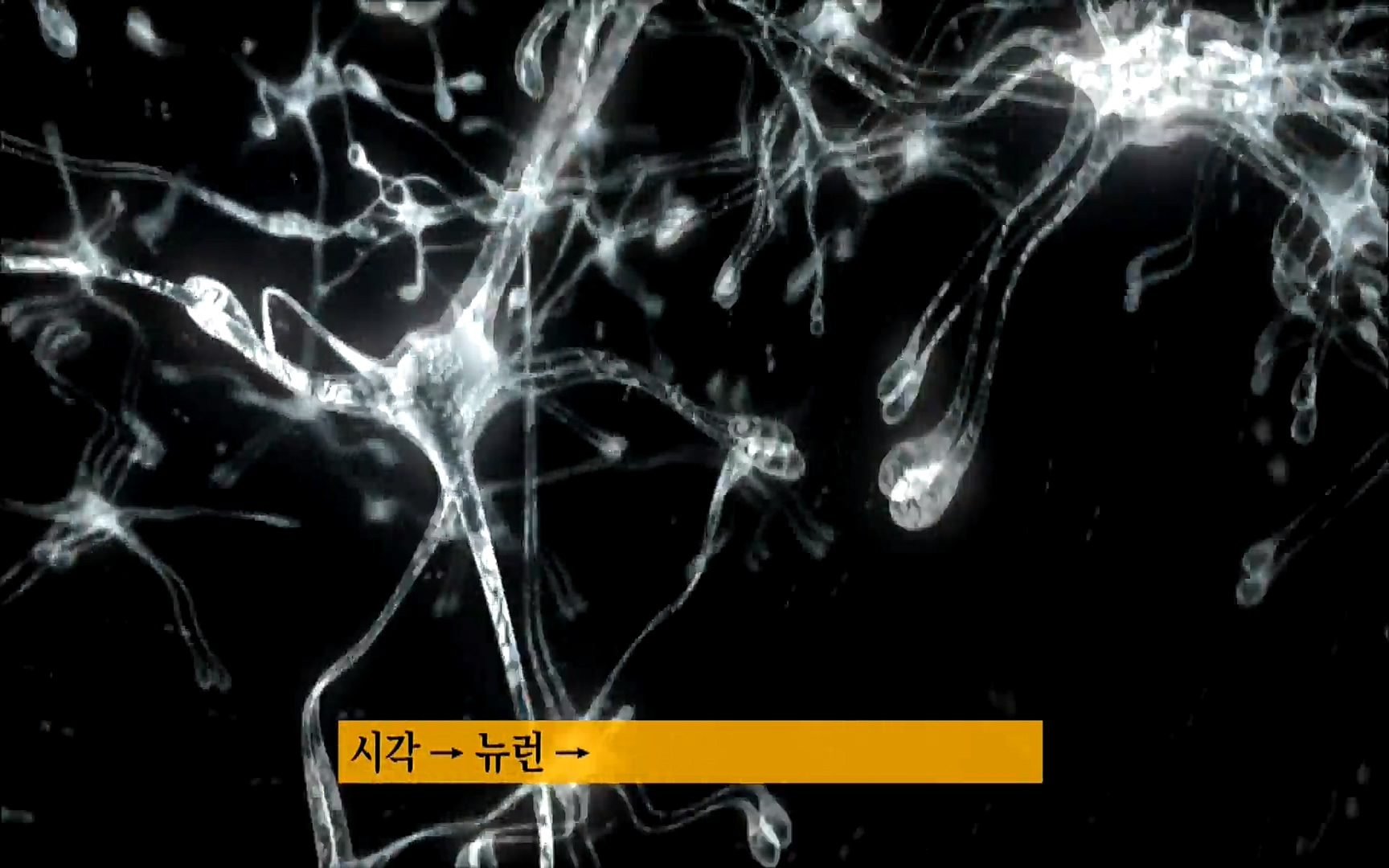 다큐 프라임 - TV - 교육의 중심 EBS자본주의 2부. 소비는 감정이다.mp4_20220512_193650.881.jpg