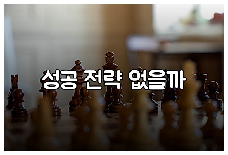 성공 전략 없을까