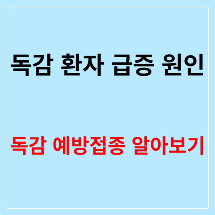 독감 환자 급증 원인과 독감 예방주사 접종