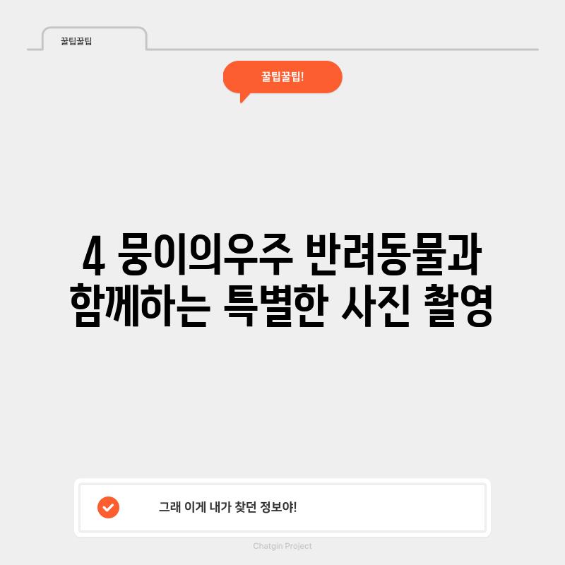 4. 뭉이의우주: 반려동물과 함께하는 특별한 사진 촬영