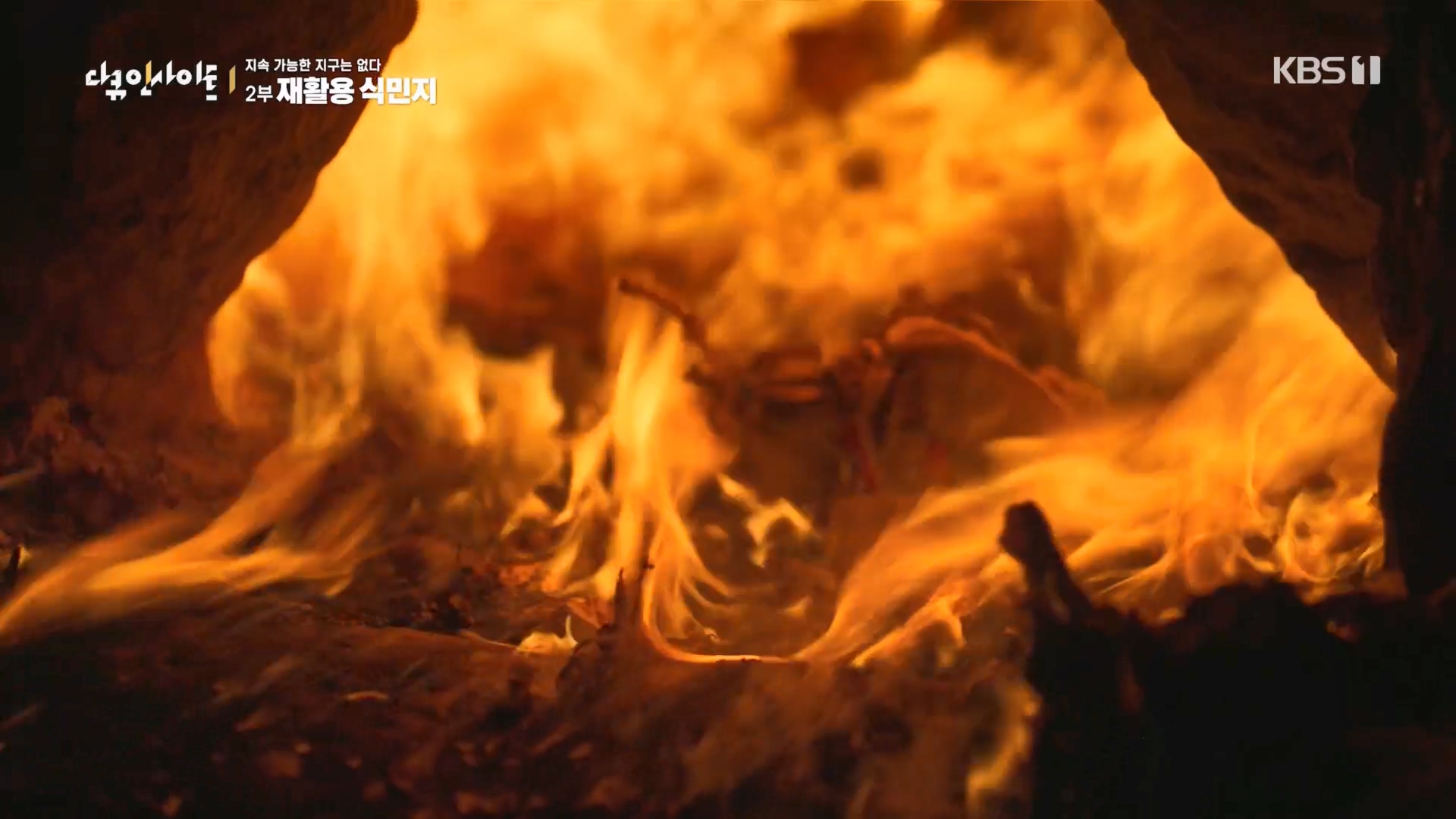 다큐 인사이트.E181.240118p.H264-F1RST.mp4_20240119_202812.861.jpg