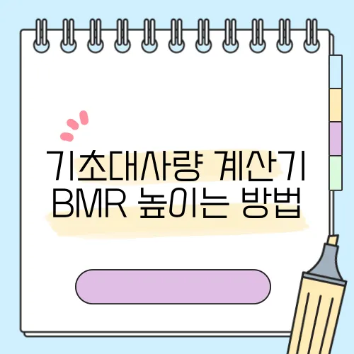 기초대사량 계산기 BMR 높이는 방법