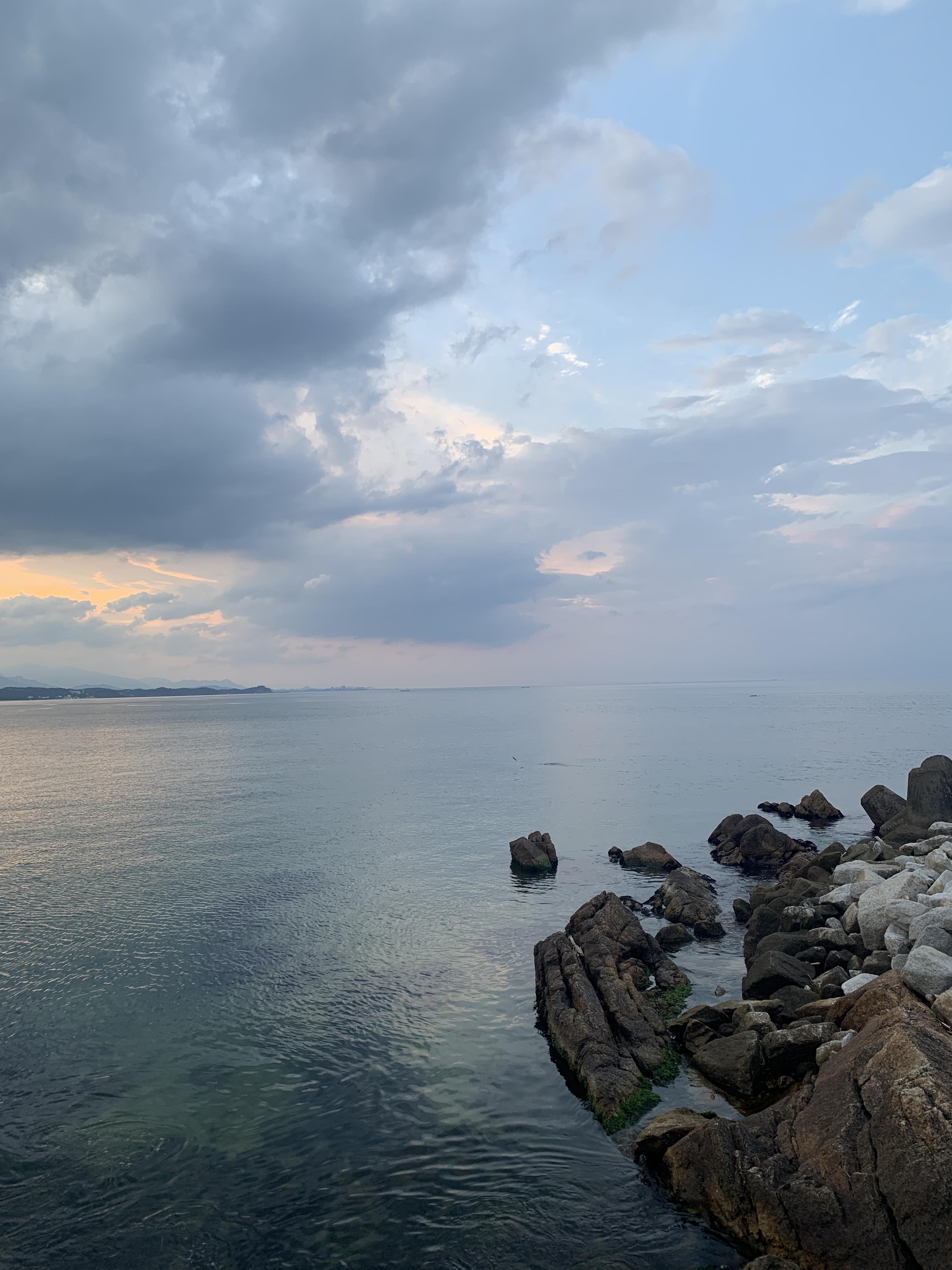  해변 피크닉을 즐기기 위한 준비물