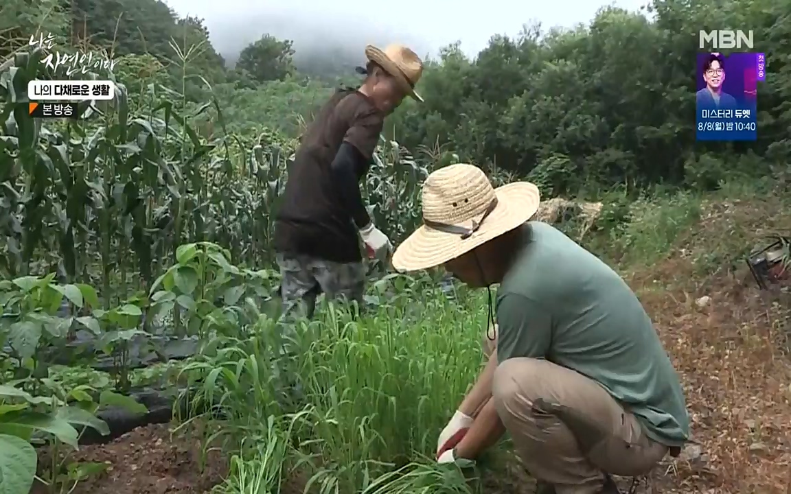 나는 자연인이다.E513.220804p-NEXT.mp4_20220804_202005.741.jpg