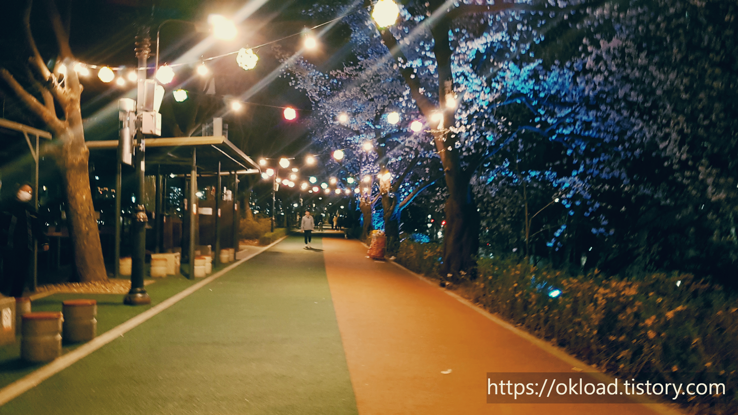 장안동 벚꽃길 ~ 중랑천 벚꽃길 산책 (서울 벚꽃 명소 봄나들이) 5