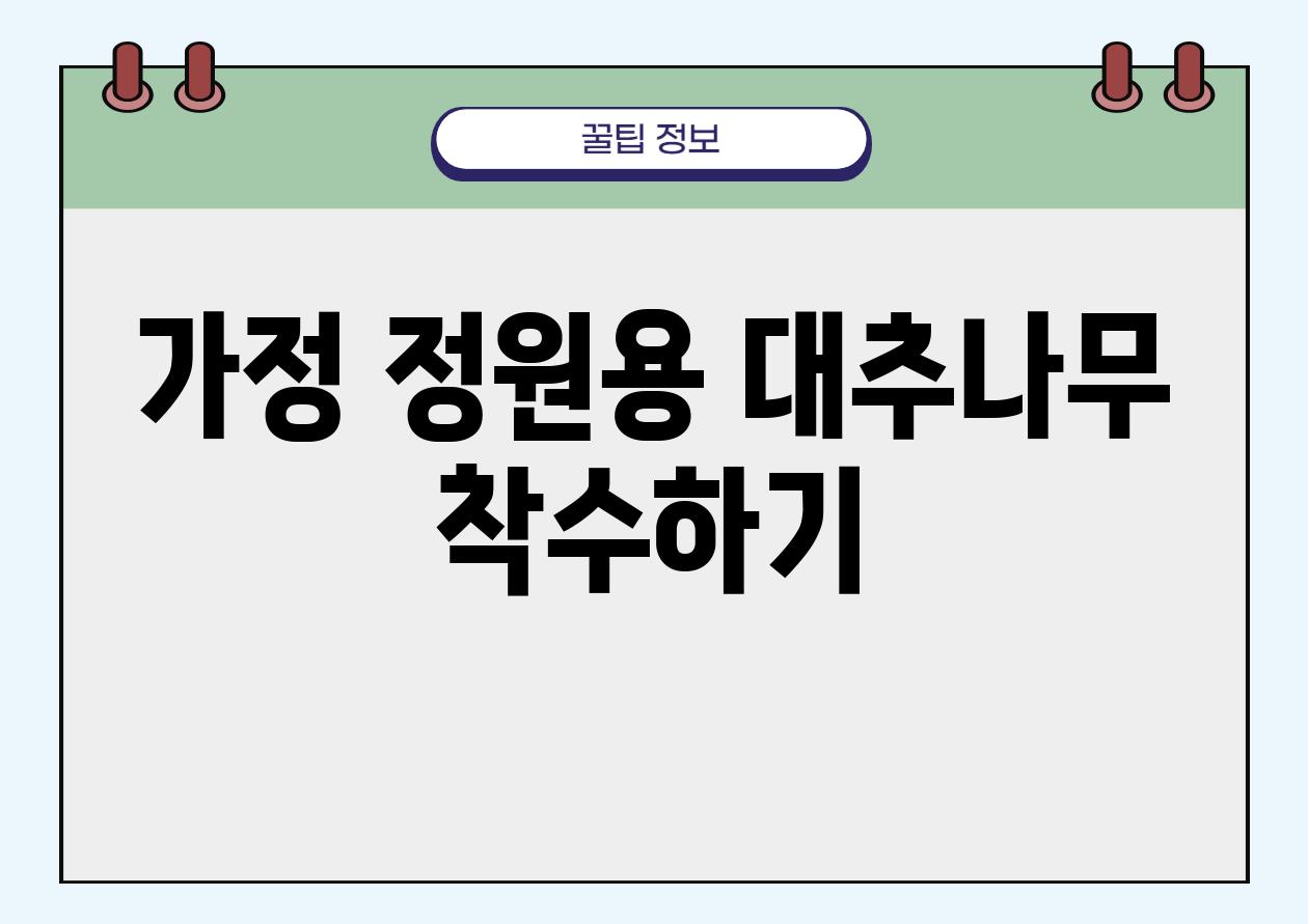 가정 정원용 대추나무 착수하기