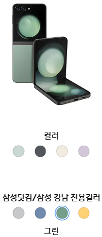 갤럭시Z플립5-삼성닷컴전용색상-그린