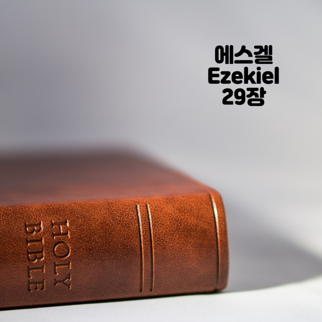 Holy BIBLE 생명의 삶 영어 한글 성경 말씀 - 에스겔(Ezekiel) 29장