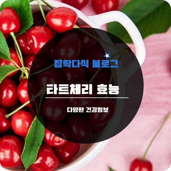  타트체리 효능 부작용