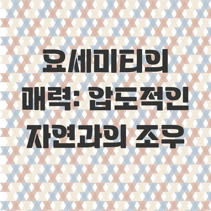 요세미티 1박2일 여행_2