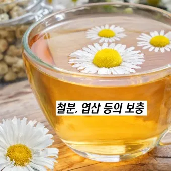 카모마일 차 효능 마시는법_3