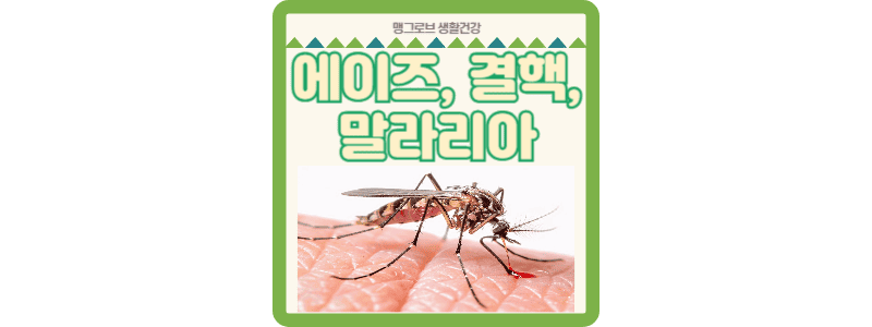 에이즈, 결핵, 말라리아 썸네일