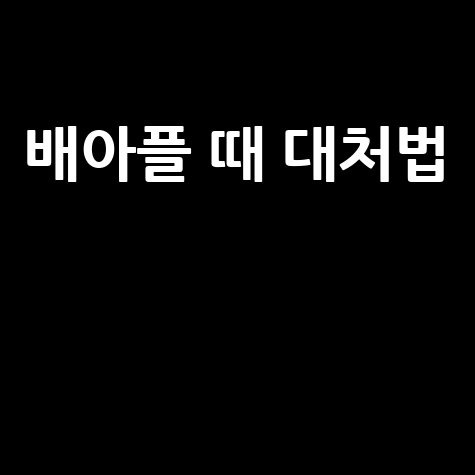 배아플 때 대처법