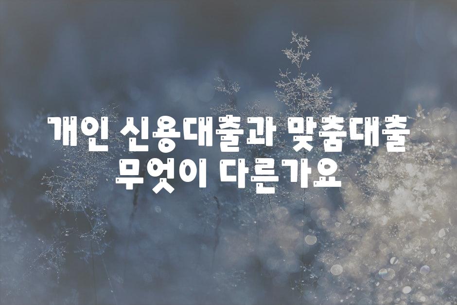 개인 신용대출과 맞춤대출 무엇이 다른가요