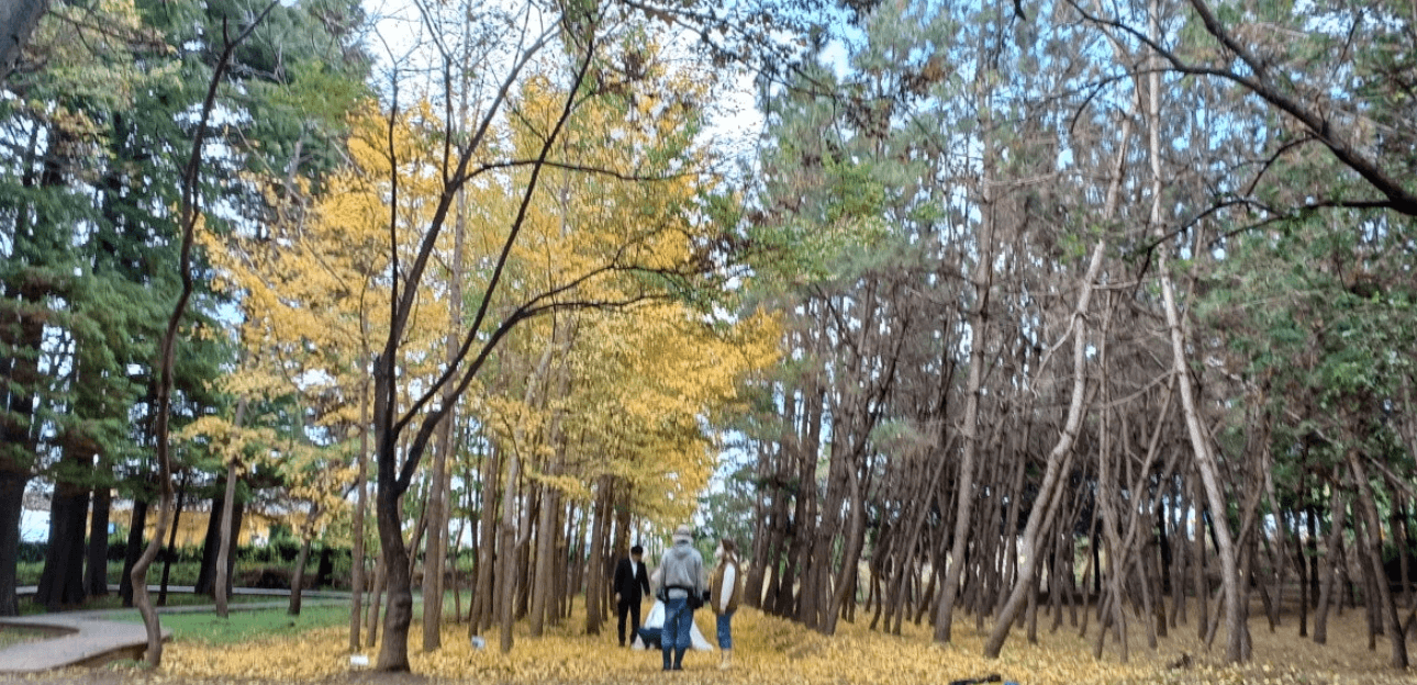 산림환경연구원