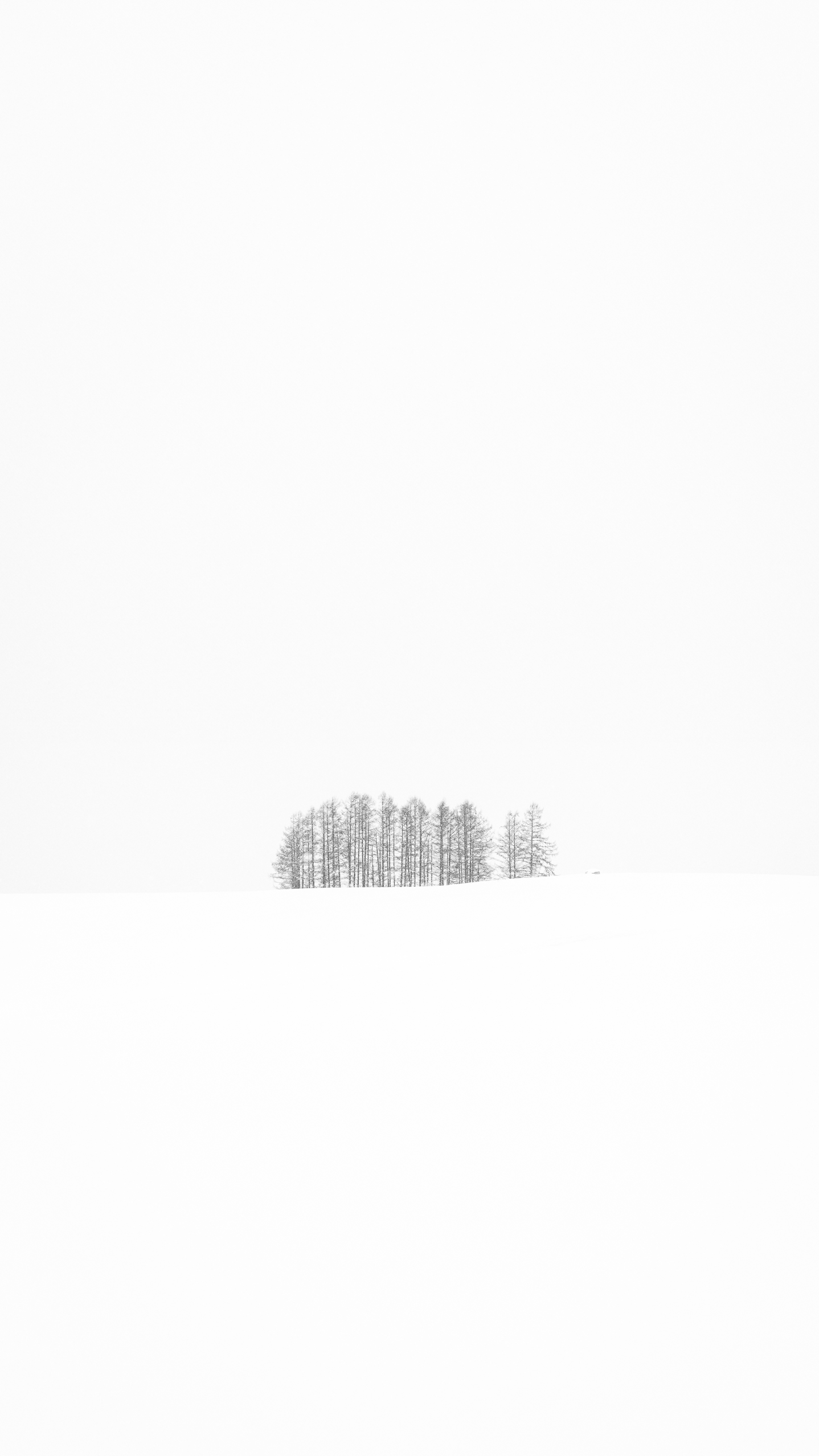 wallpaper
sapporo
smartphone wallpaper
스마트폰배경화면
삿포로
삿포로배경화면
설경
눈