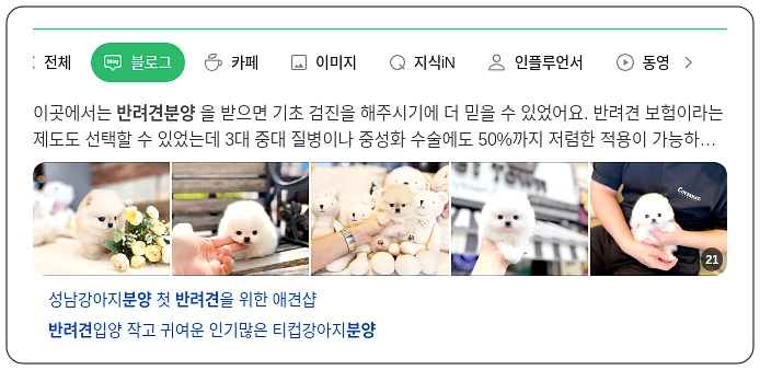 반려견 분양_1_subsection