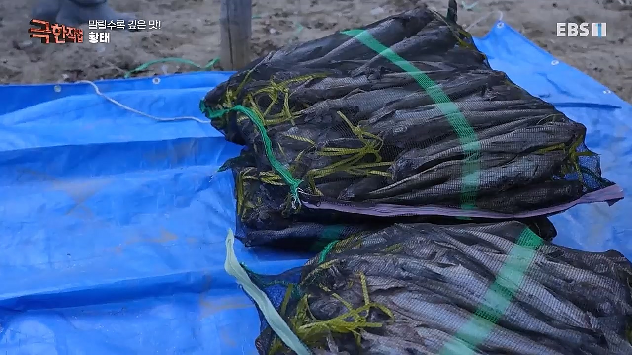 극한직업.E1049.230122p-BB.mp4_20230126_200426.474.jpg