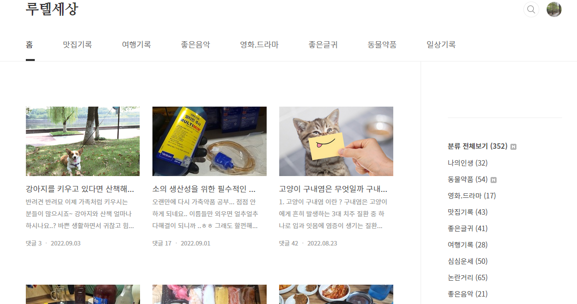  11개월 티스토리 애드센스 수익공개 드디어 결과가 나왔습니다.