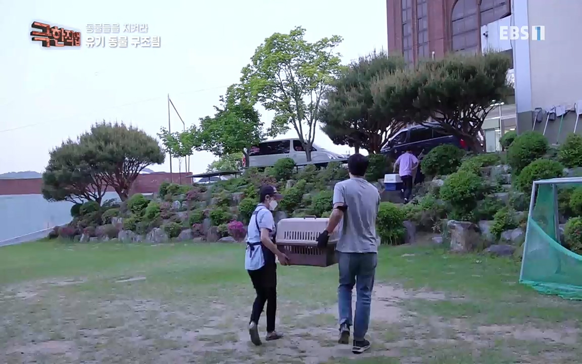 TV - 교육의 중심 EBS동물들을 지켜라, 수의사와 유기 동물 구조팀.mp4_20220913_200158.360.jpg