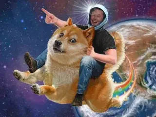 도지(DOGE) 이미지