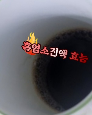 흙염소진액-효능