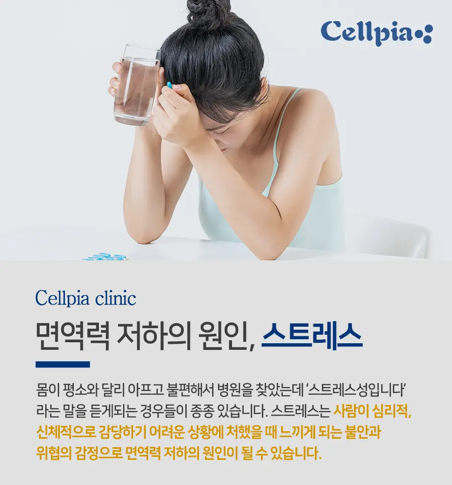  스트레스로 인한 면역력 하락: 어떻게 대처해야 할까?