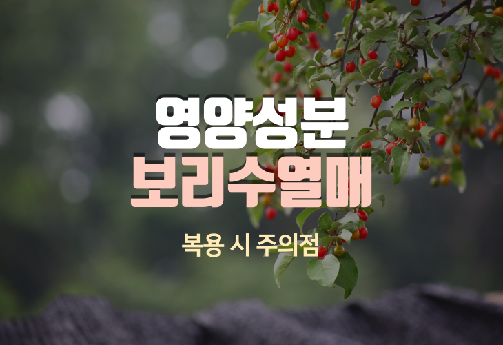  보리수 열매의 영양성분