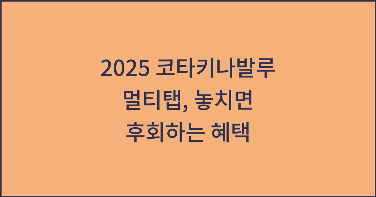 2025 코타키나발루 멀티탭