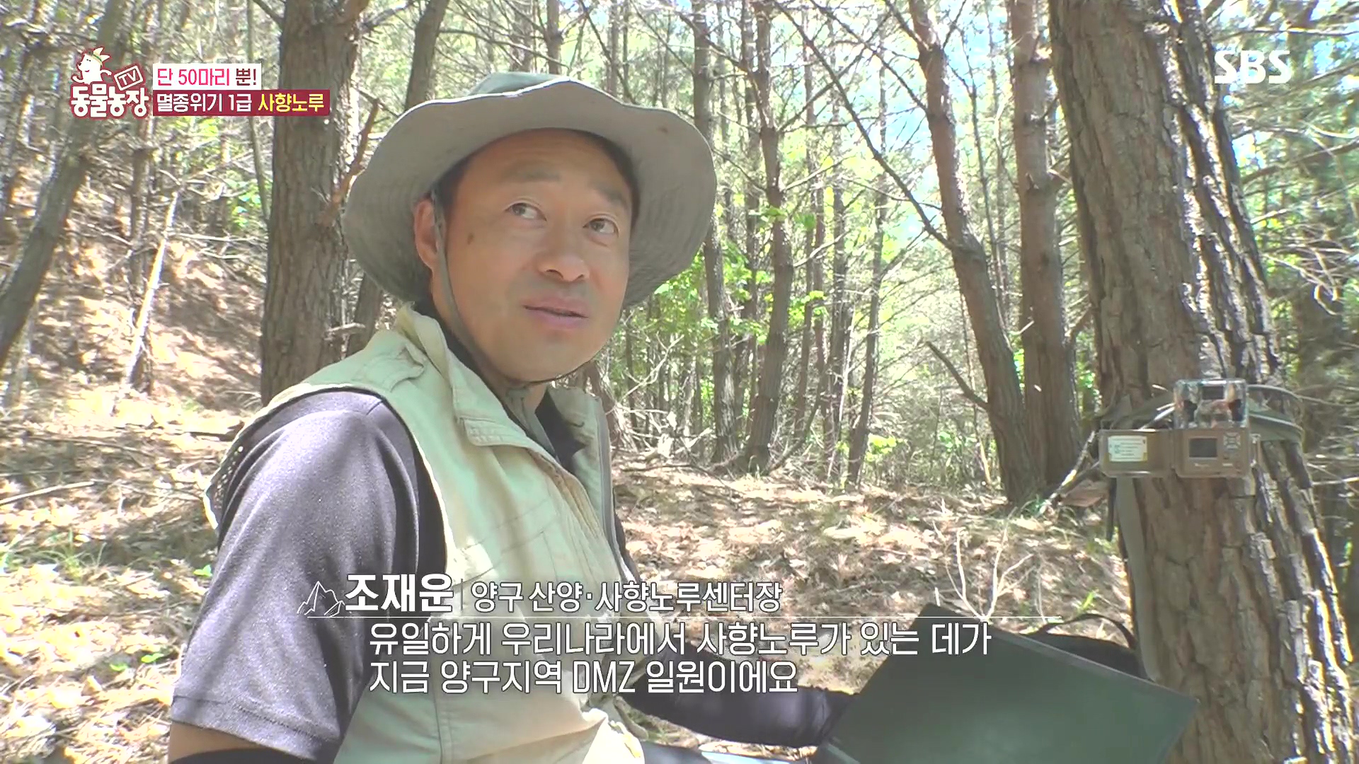 TV 동물농장.E1185.240818p.H264-F1RST.mp4_20240818_161124.427.jpg