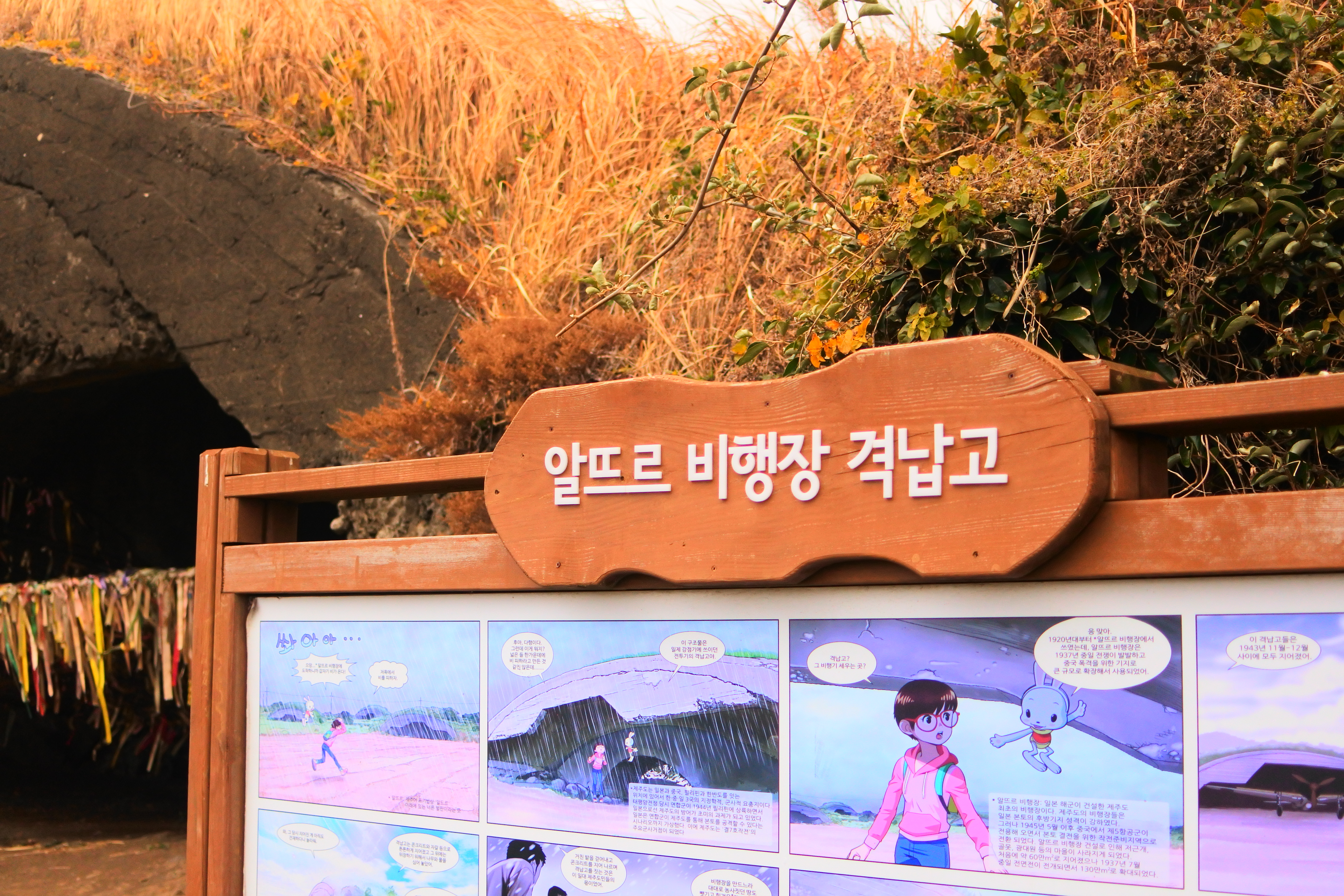 다크투어리즘 아픈역사가 숨어있는 곳/알뜨르 비행장 격납고