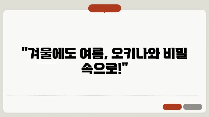 오키나와 겨울 여행, 추운 겨울에도 따뜻하다! 특별한 남국 겨울휴가를 위한 팁