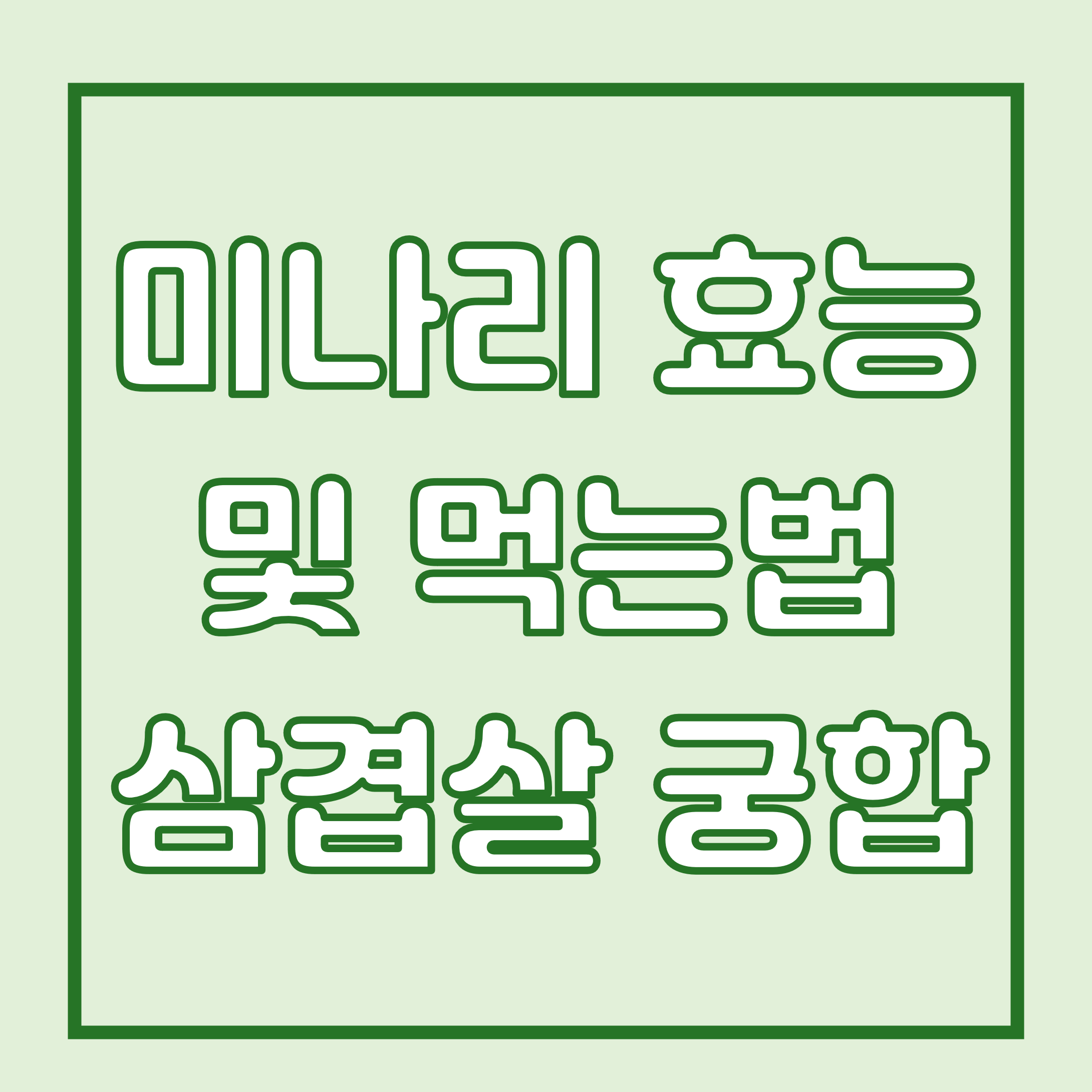 미나리 효능 및 먹는 법 삼겹살 궁합