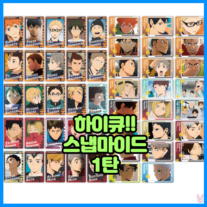  [하이큐!!] 스냅마이드 1탄