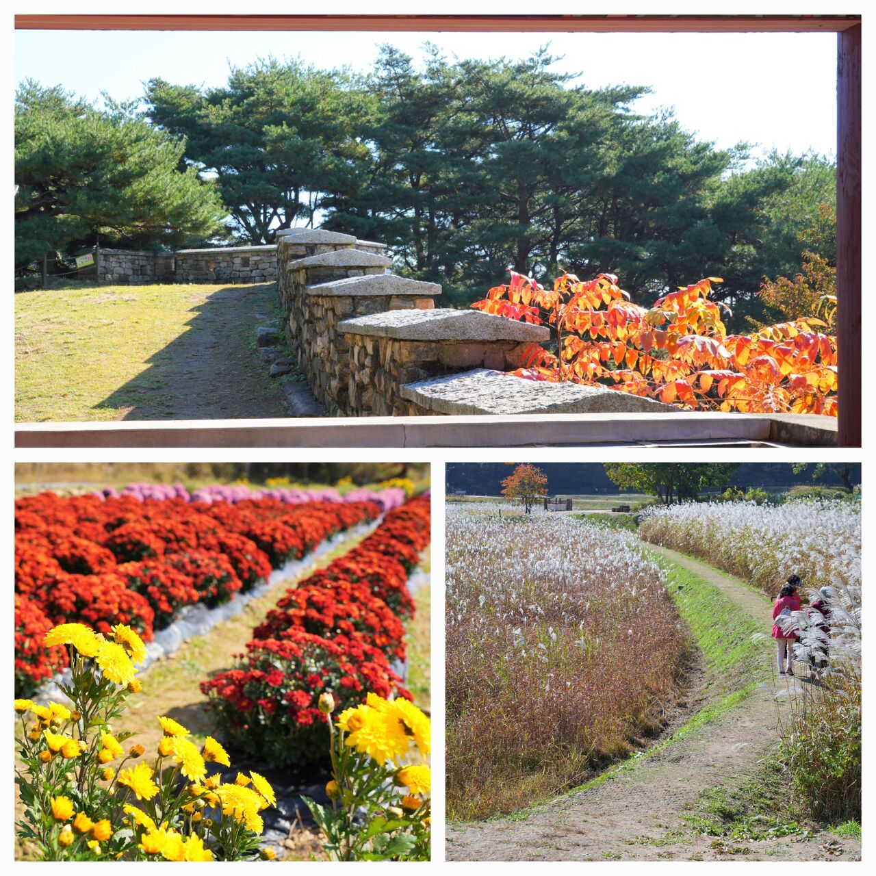 환경마당 이미지