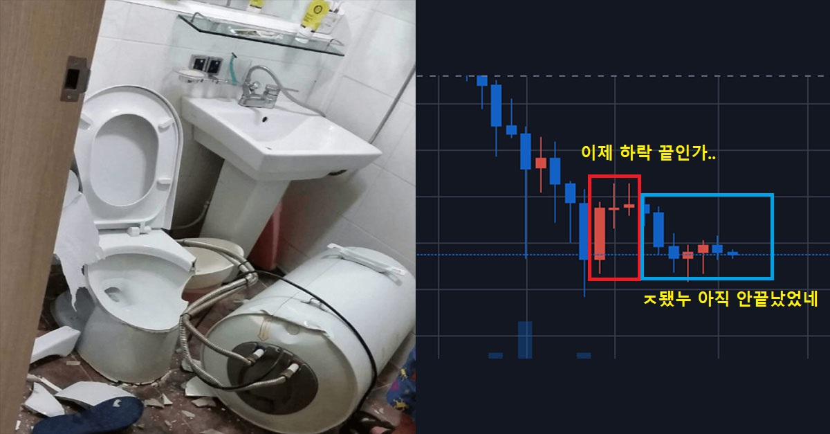  비트코인 하락 끝난 줄 알고 좋아했던 비트코인갤 반응