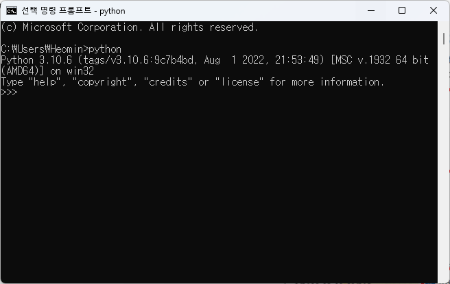 Python 3.10.6 실행 화면