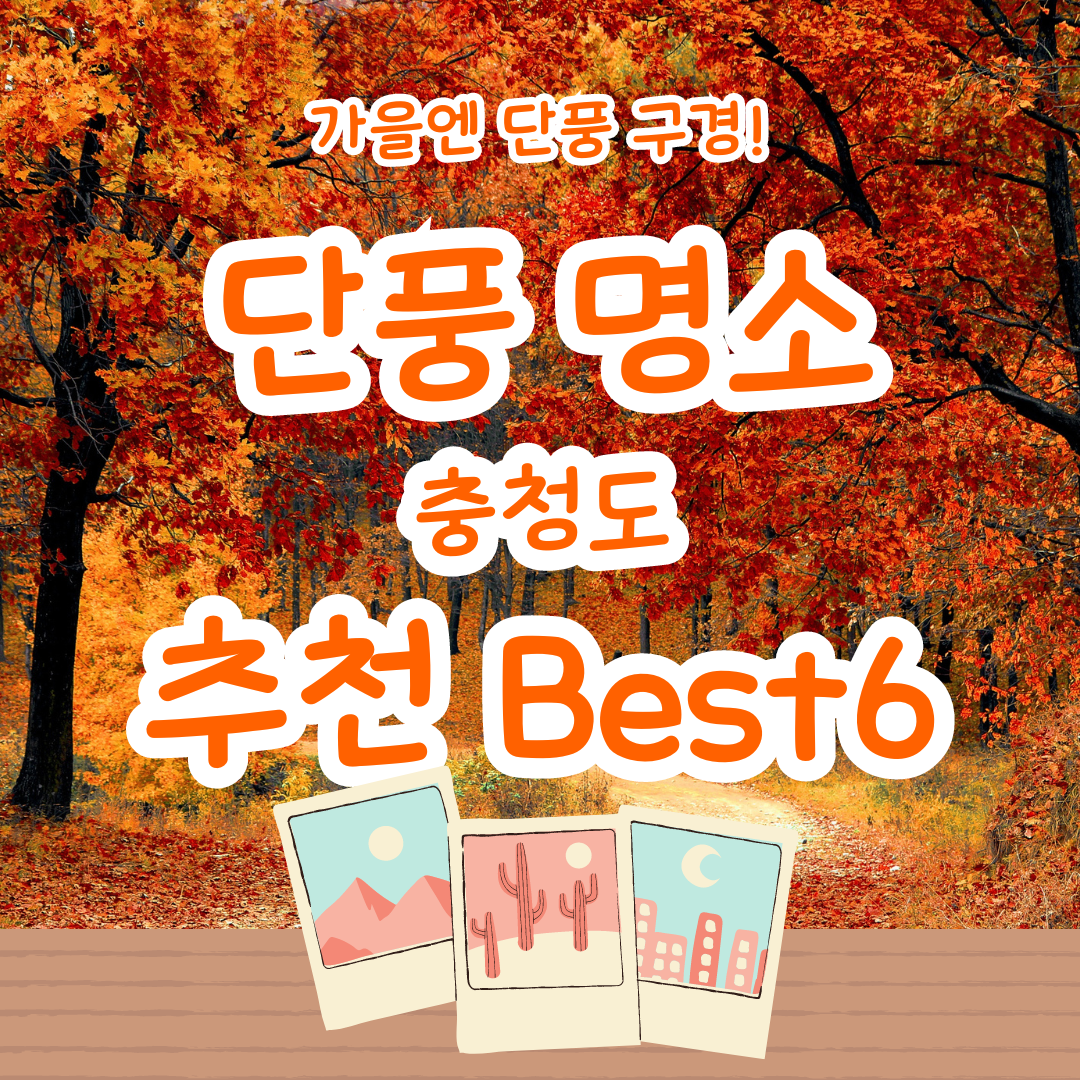 가을 단풍 여행 지도(3) - 충청도 - 장태산, 대둔산, 신성리갈대밭, 보발재, 문광저수지, 말티재 추천지 6곳!!1