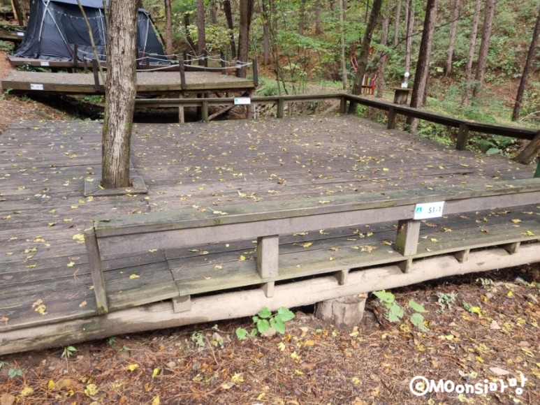 하늘그린캠프, 숲속의 4