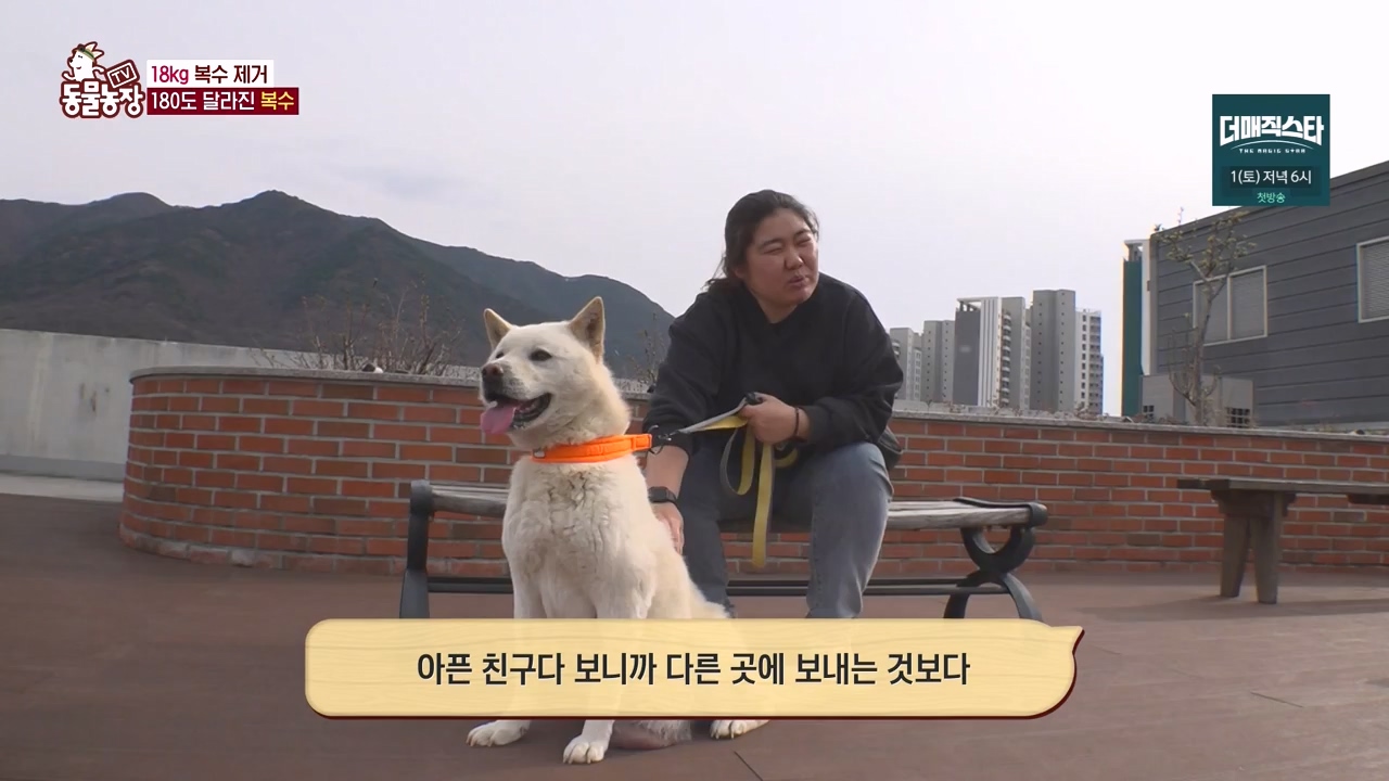TV 동물농장.E1173.240527p-NEXT.mp4_20240526_155726.347.jpg