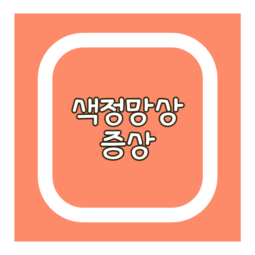 색정망상 증상