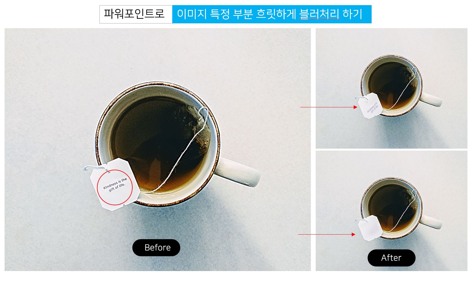  파워포인트로 사진 이미지 특정 부분 흐린 효과 빠르게 편집하는 방법
