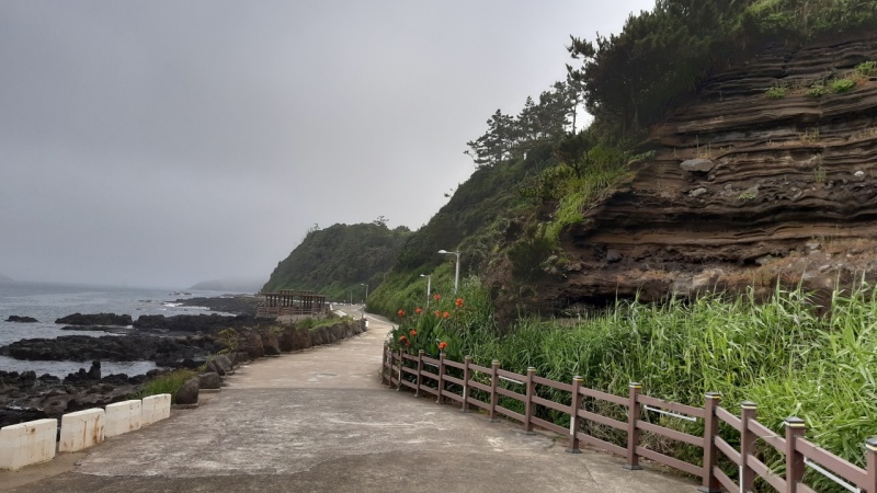 수월봉_지질탐방로